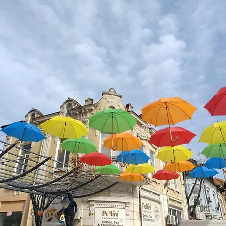 Daire Funny-gunny To The Sea Garden *